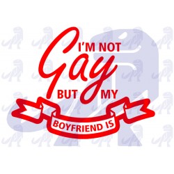 Im not Gay... My Bf is!
