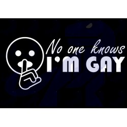 No One Knows im Gay